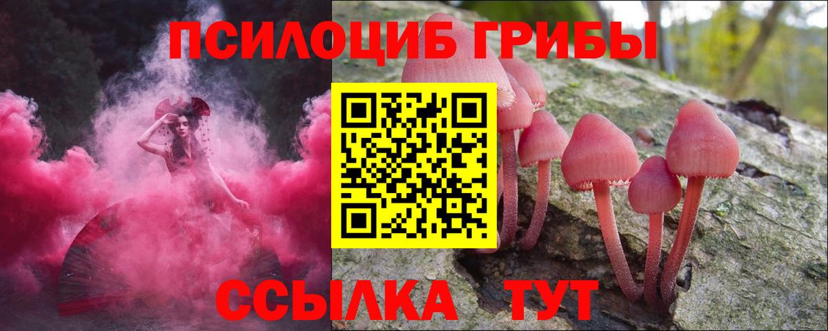 Псилоцибиновые грибы ЛСД  Вход с VPN  Курчалой 